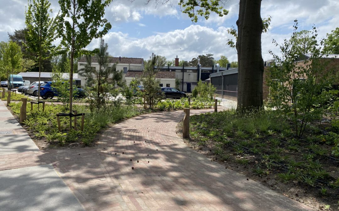 Tuinproject: Sfeervol vakantiepark