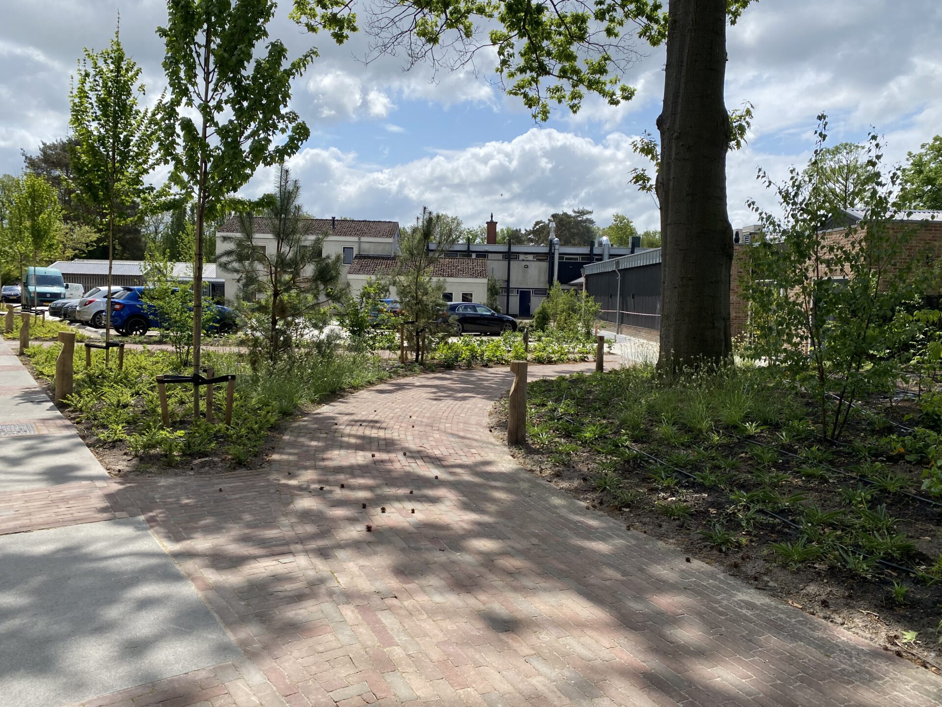 tuinproject vakantiepark westerbergen